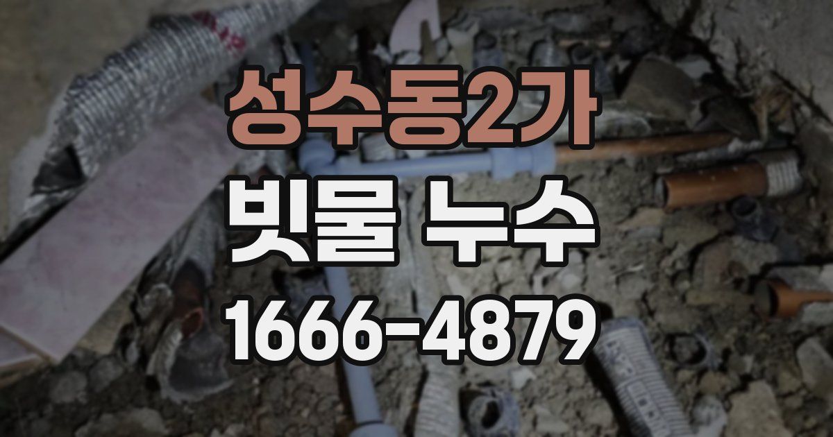 성수동2가 빗물 누수