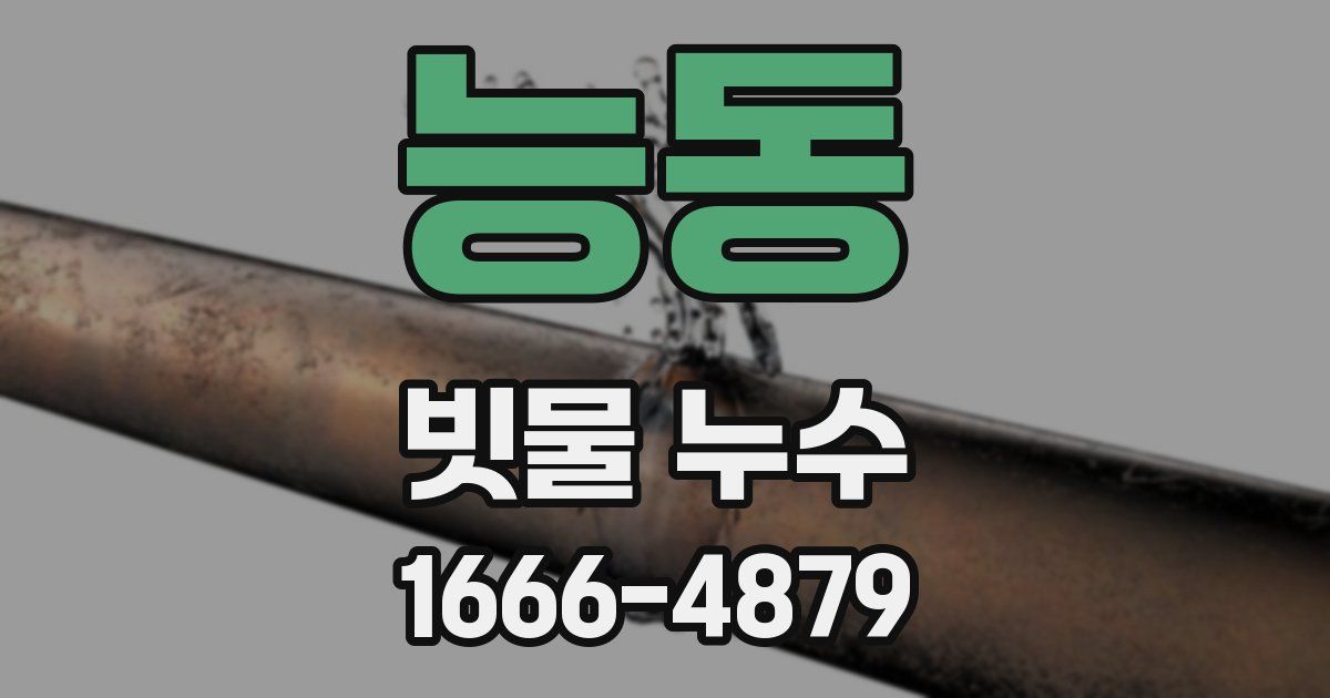 능동 빗물 누수