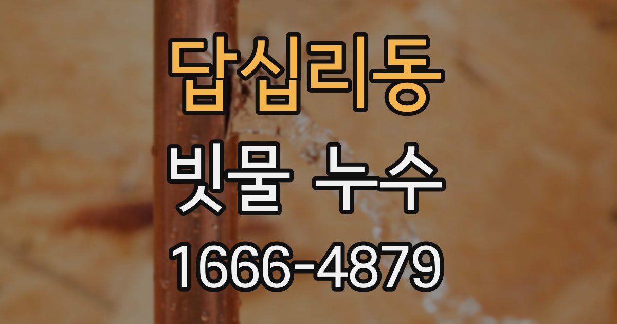 답십리동 빗물 누수