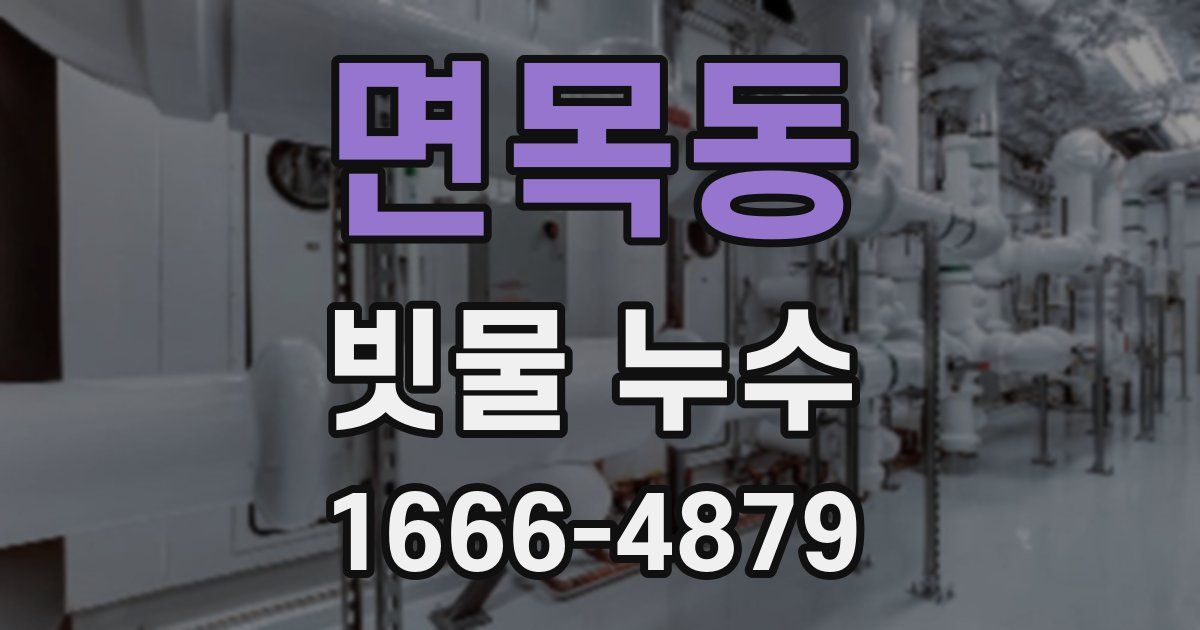 면목동 빗물 누수