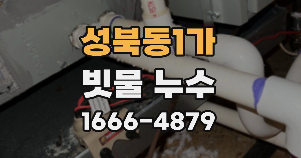 성북동1가 빗물 누수