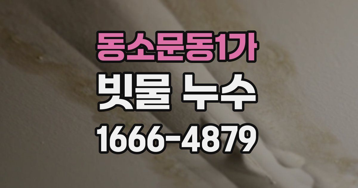 동소문동1가 빗물 누수
