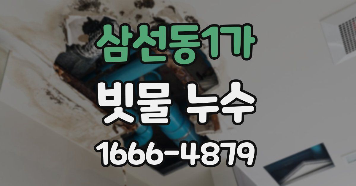 삼선동1가 빗물 누수