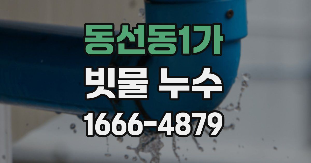 동선동1가 빗물 누수