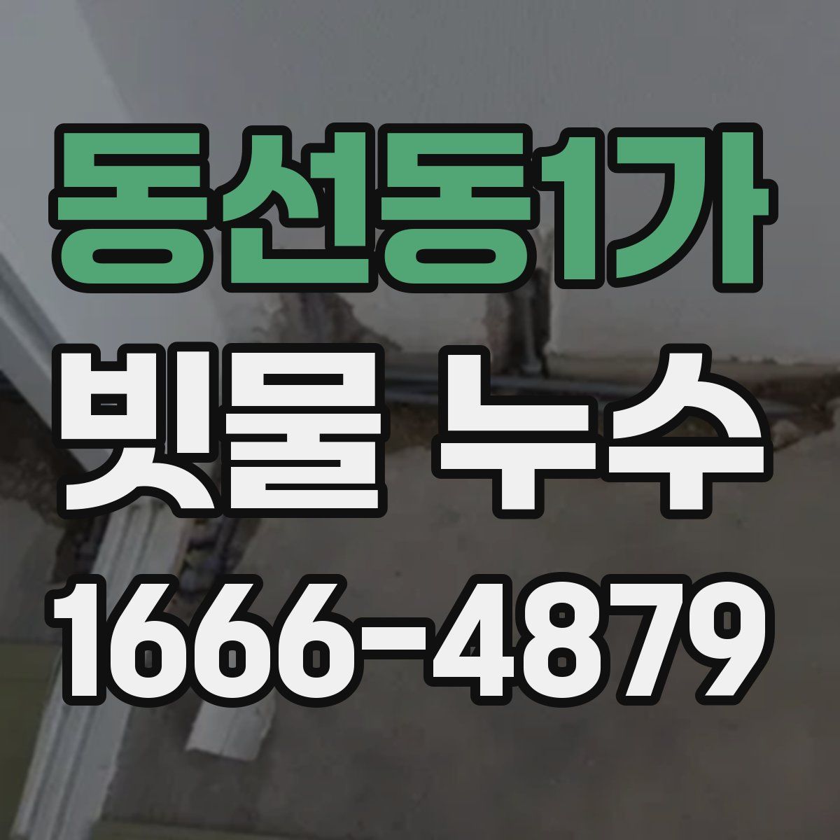 동선동1가 빗물 누수