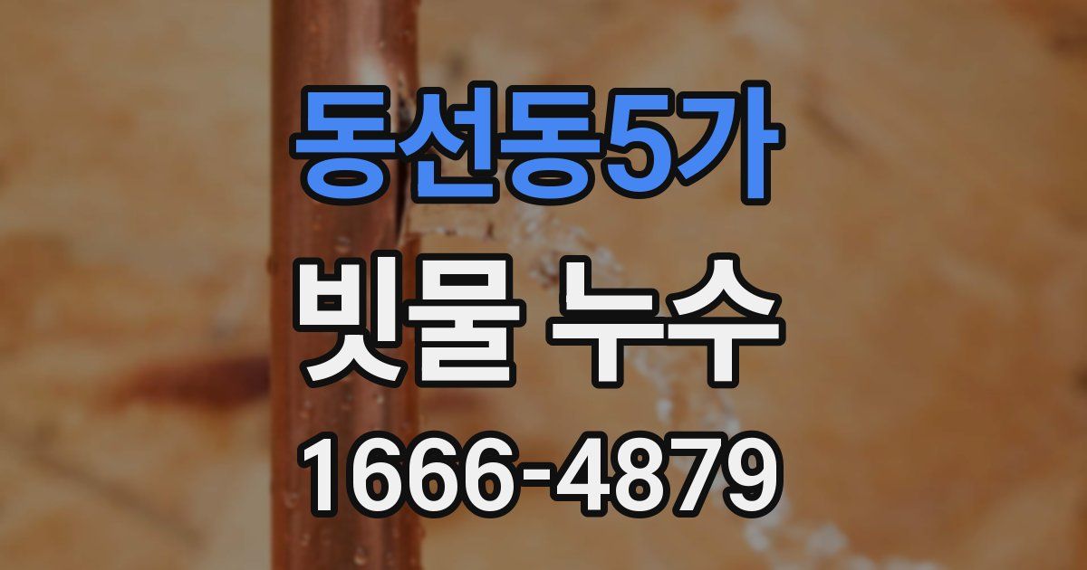 동선동5가 빗물 누수