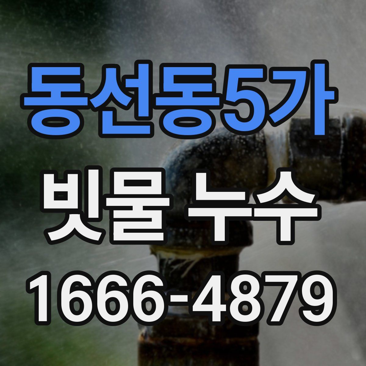 동선동5가 빗물 누수