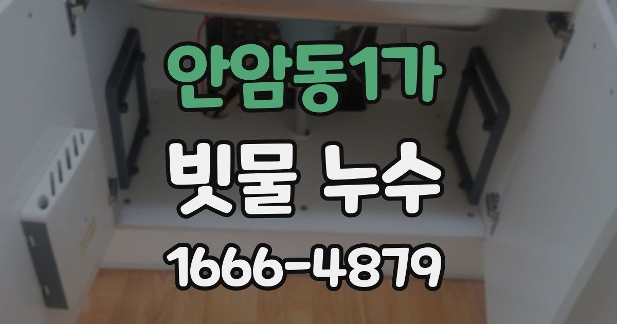 안암동1가 빗물 누수