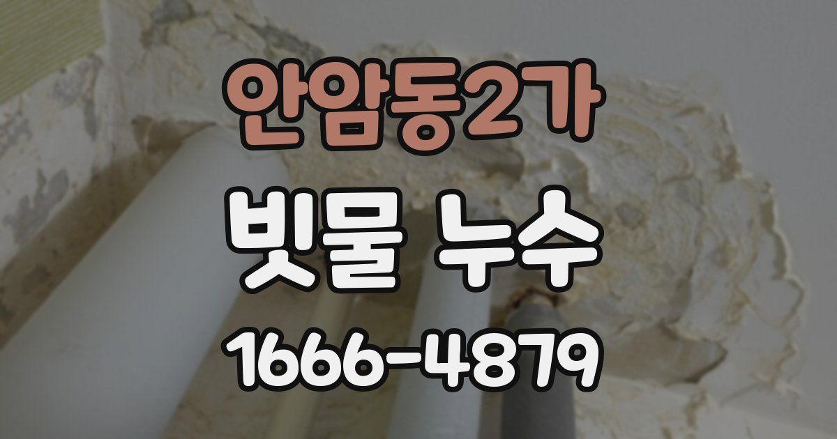안암동2가 빗물 누수