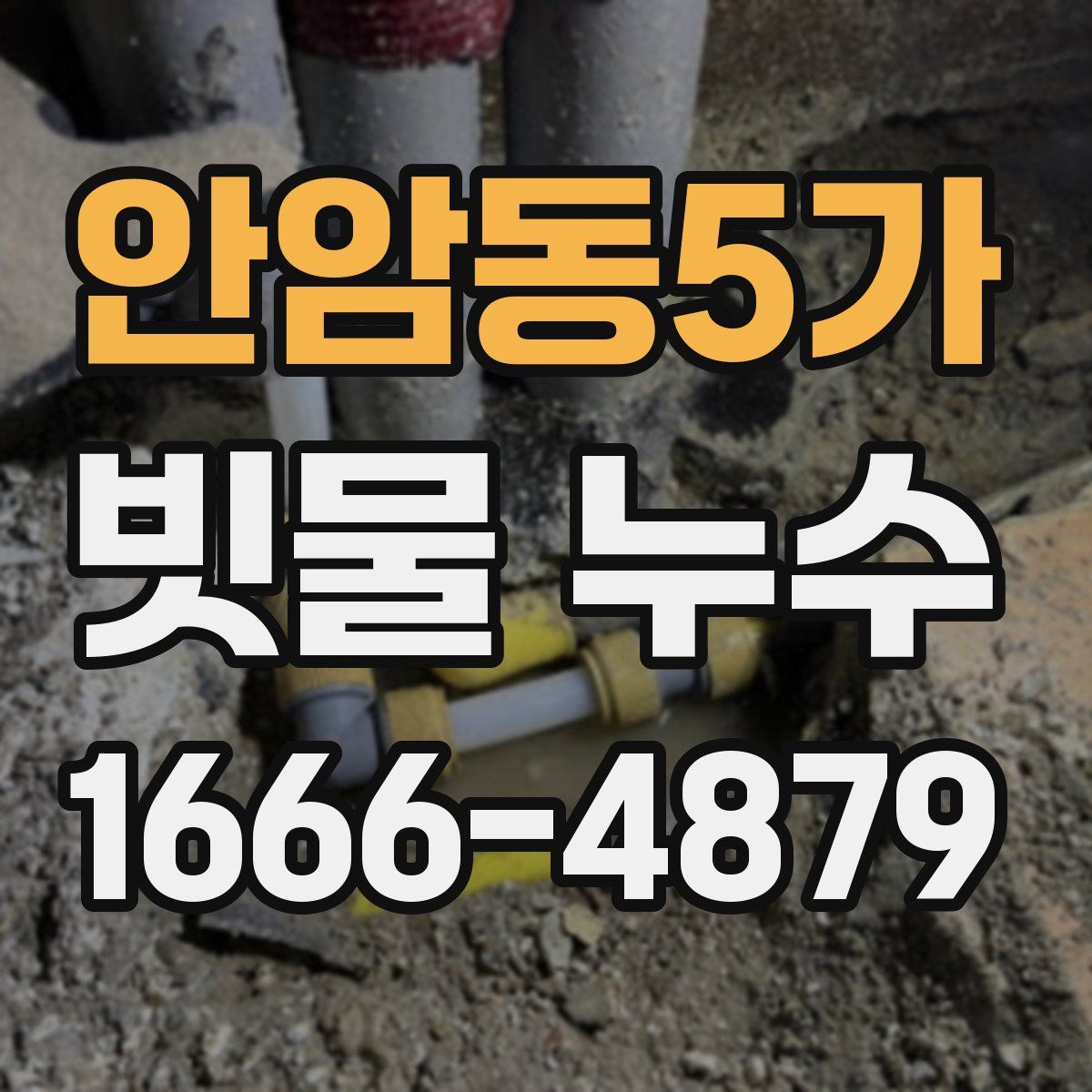 안암동5가 빗물 누수