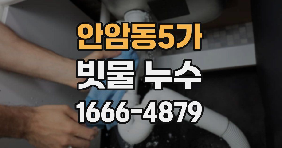안암동5가 빗물 누수