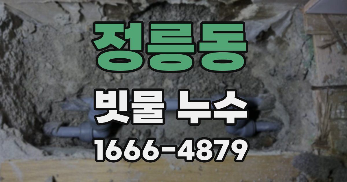 정릉동 빗물 누수