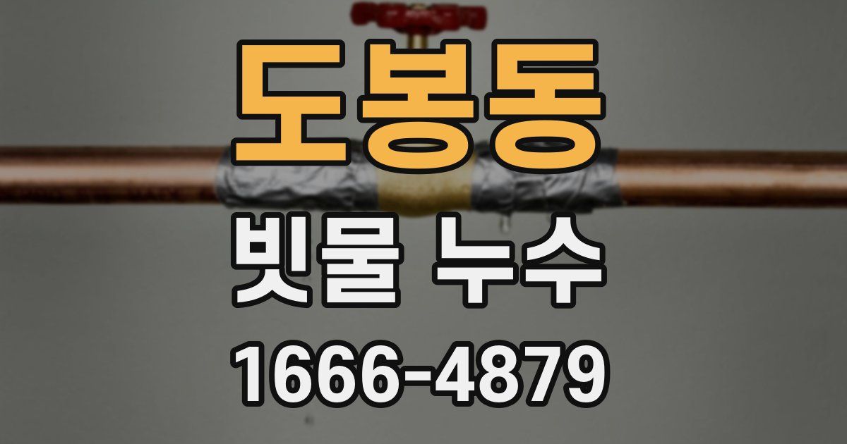 도봉동 빗물 누수
