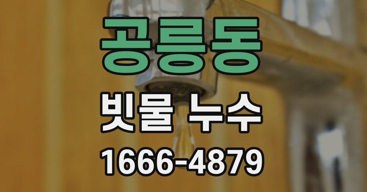 공릉동 빗물 누수