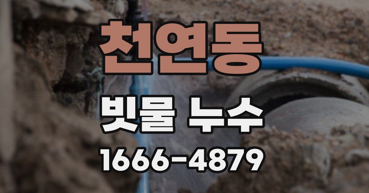 천연동 빗물 누수