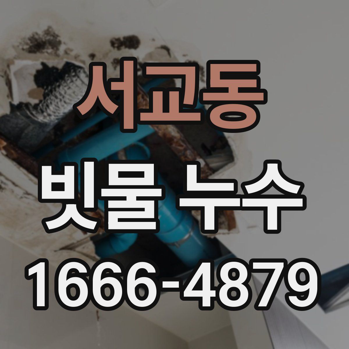 서교동 빗물 누수