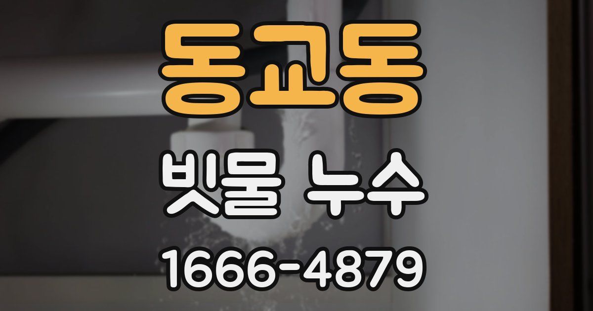 동교동 빗물 누수