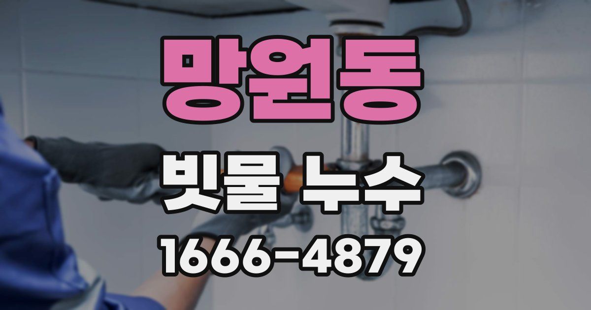망원동 빗물 누수
