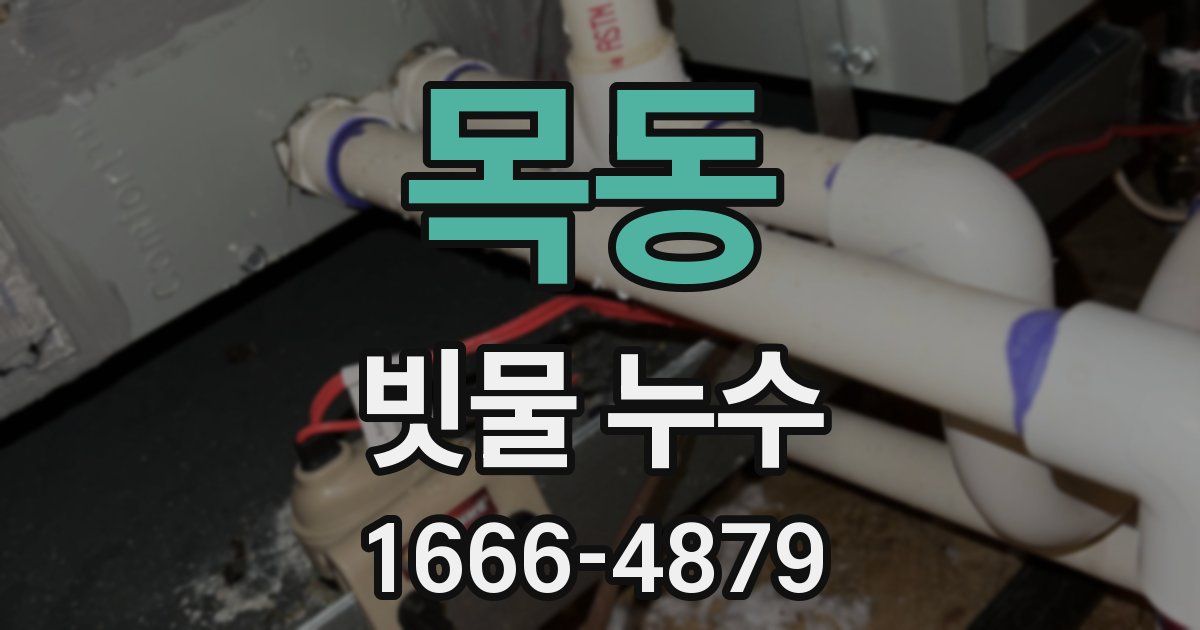목동 빗물 누수