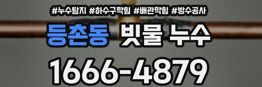 등촌동 빗물 누수