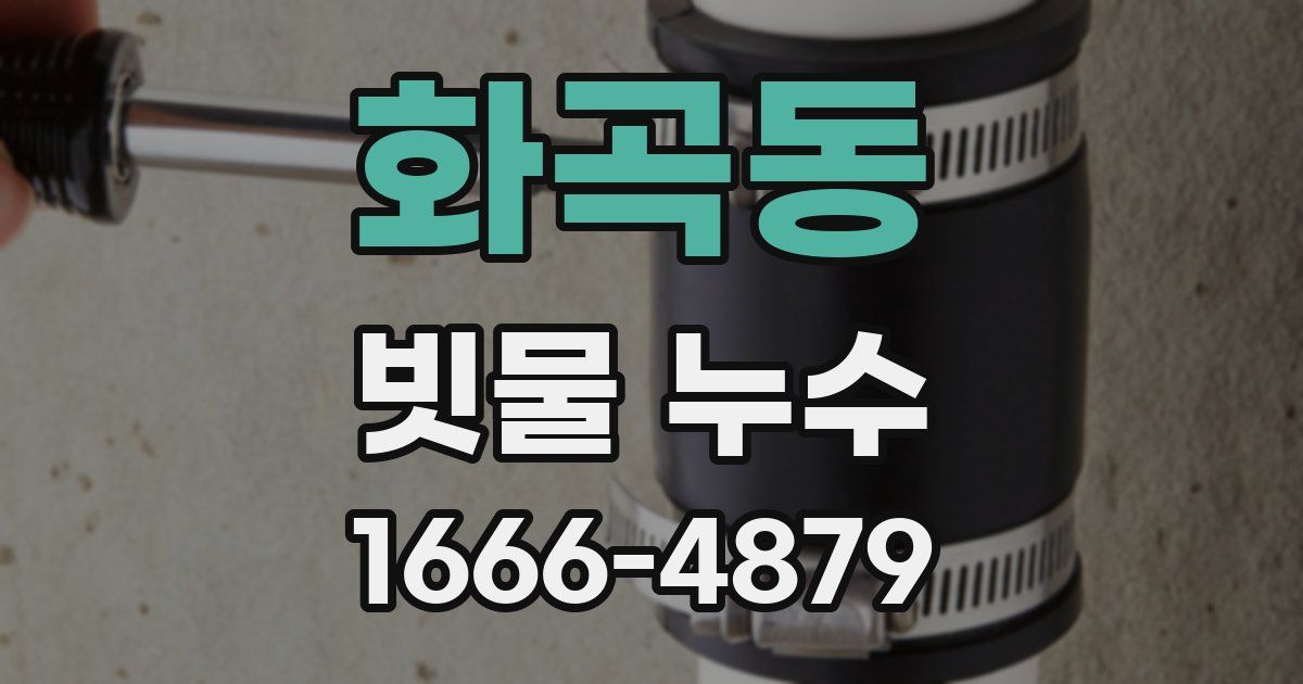 화곡동 빗물 누수