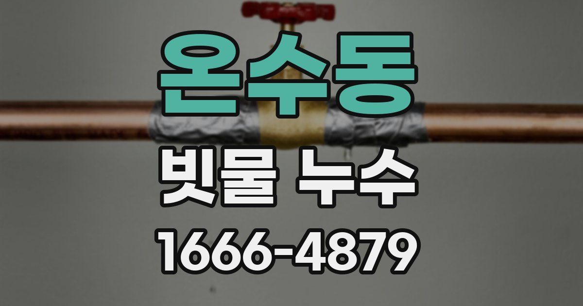 온수동 빗물 누수