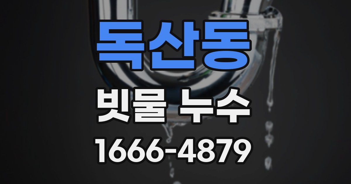 독산동 빗물 누수