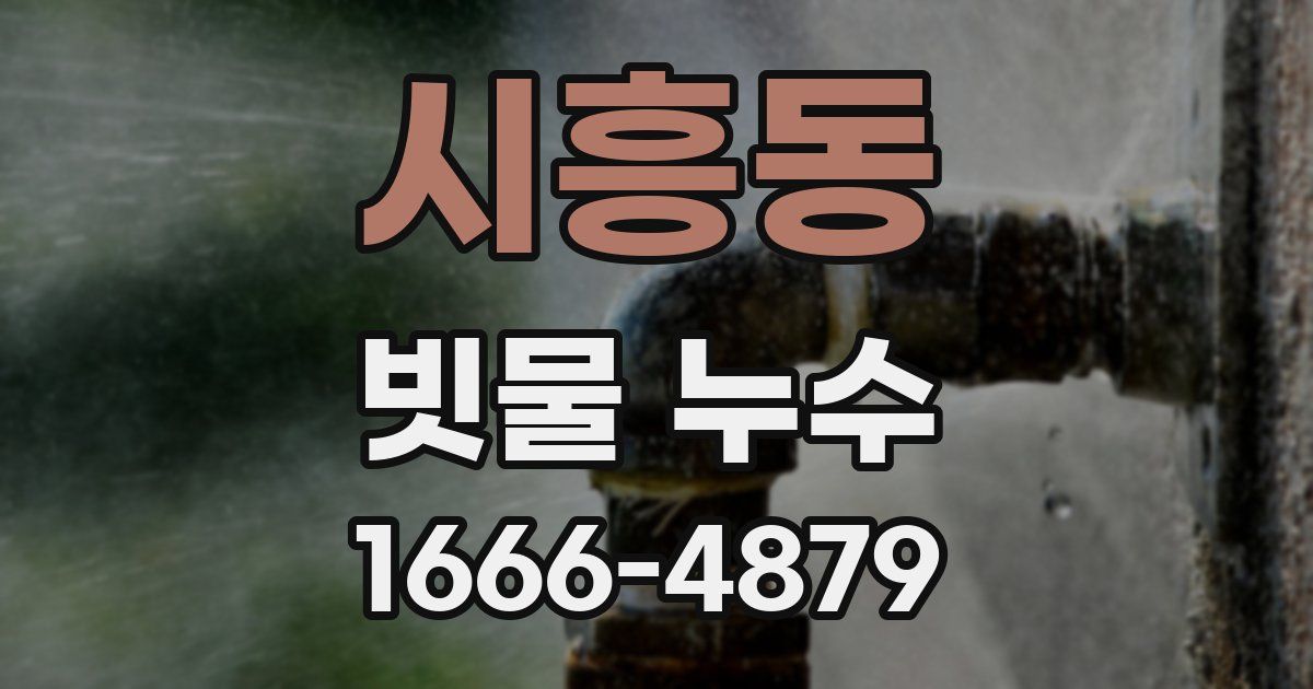 시흥동 빗물 누수