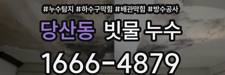 당산동 빗물 누수