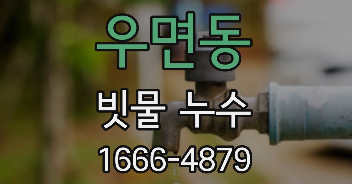 우면동 빗물 누수
