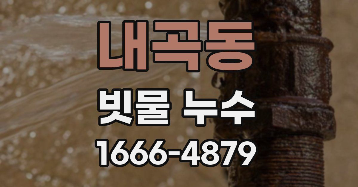 내곡동 빗물 누수