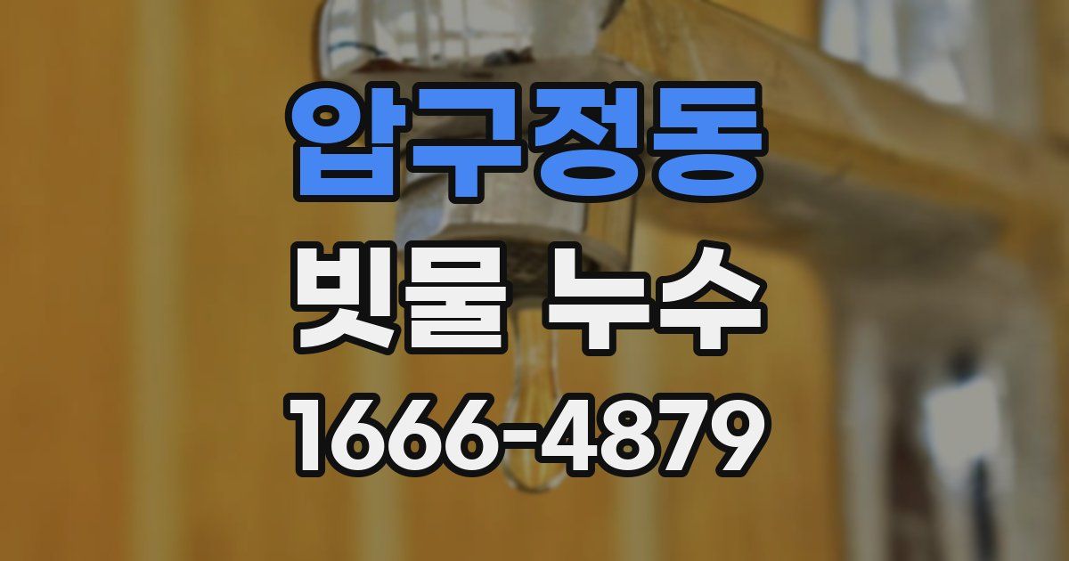 압구정동 빗물 누수