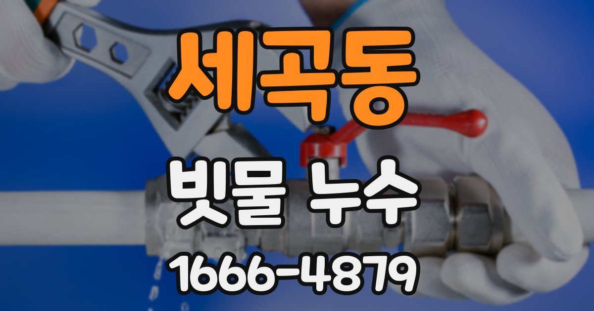 세곡동 빗물 누수