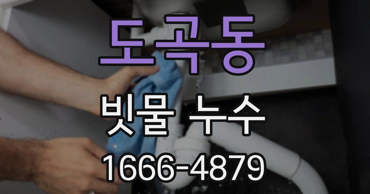 도곡동 빗물 누수