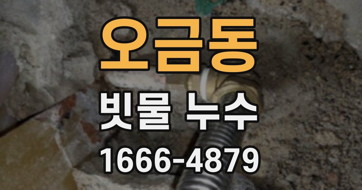 오금동 빗물 누수