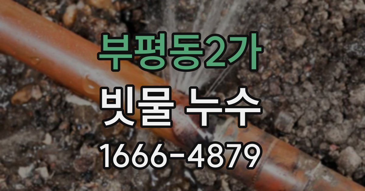 부평동2가 빗물 누수