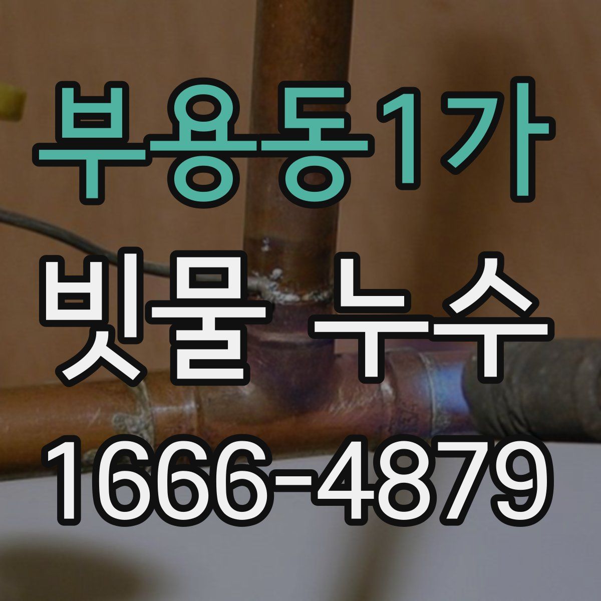 부용동1가 빗물 누수