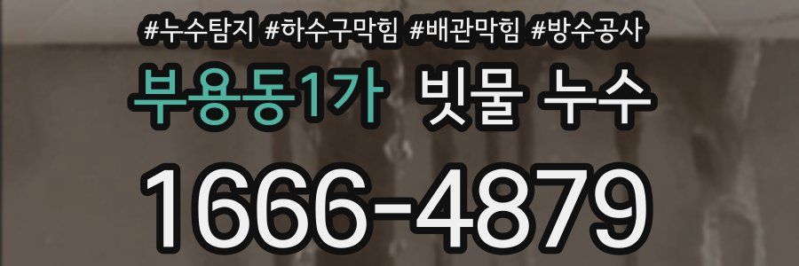 부용동1가 빗물 누수
