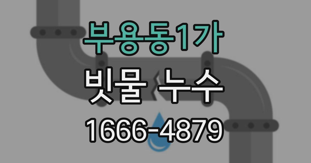 부용동1가 빗물 누수