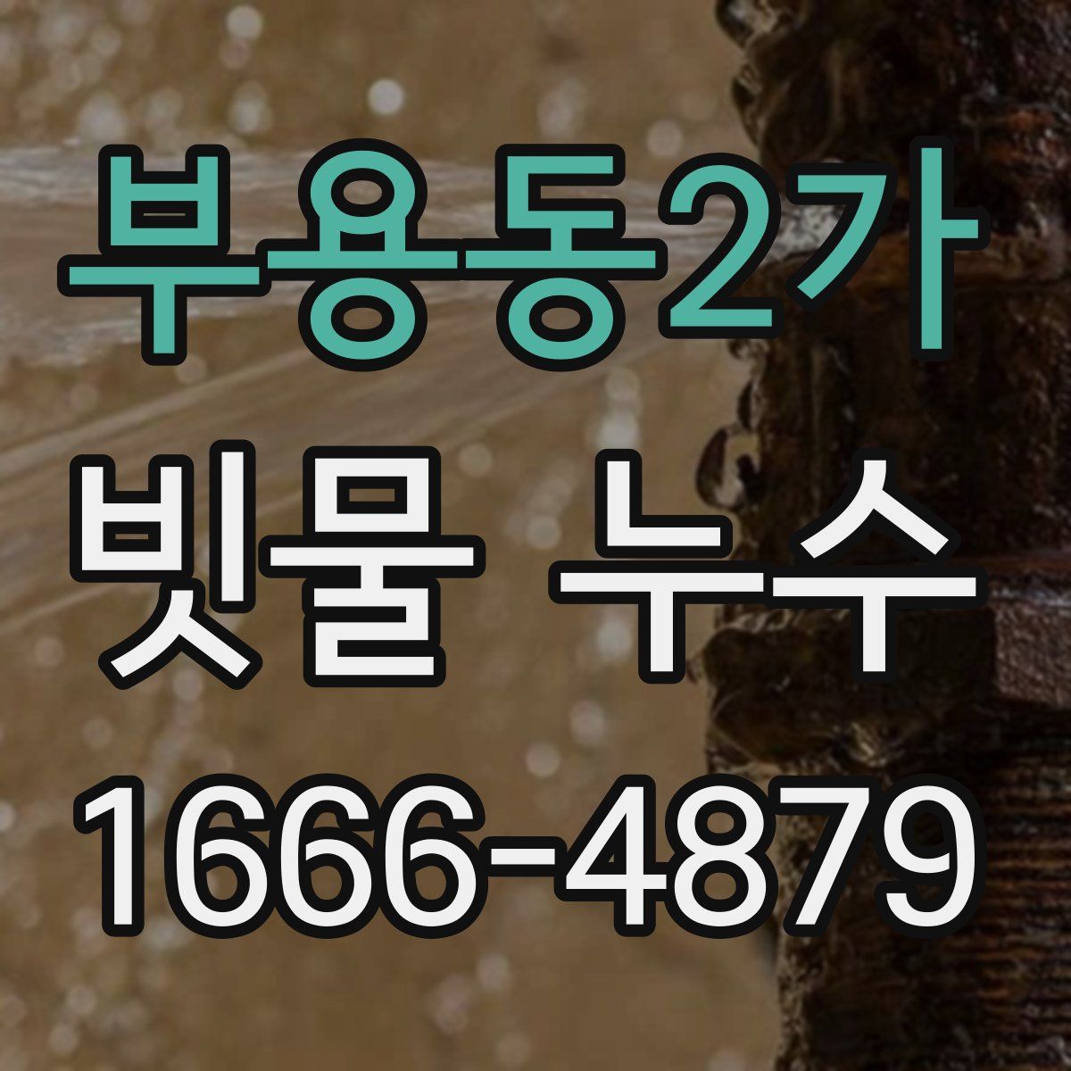 부용동2가 빗물 누수