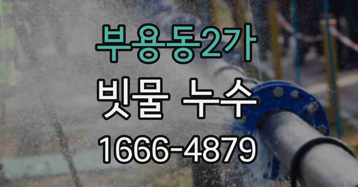부용동2가 빗물 누수