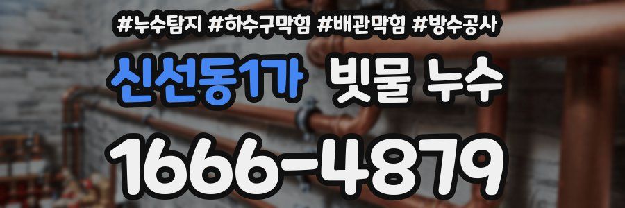 신선동1가 빗물 누수