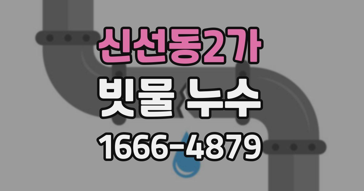 신선동2가 빗물 누수