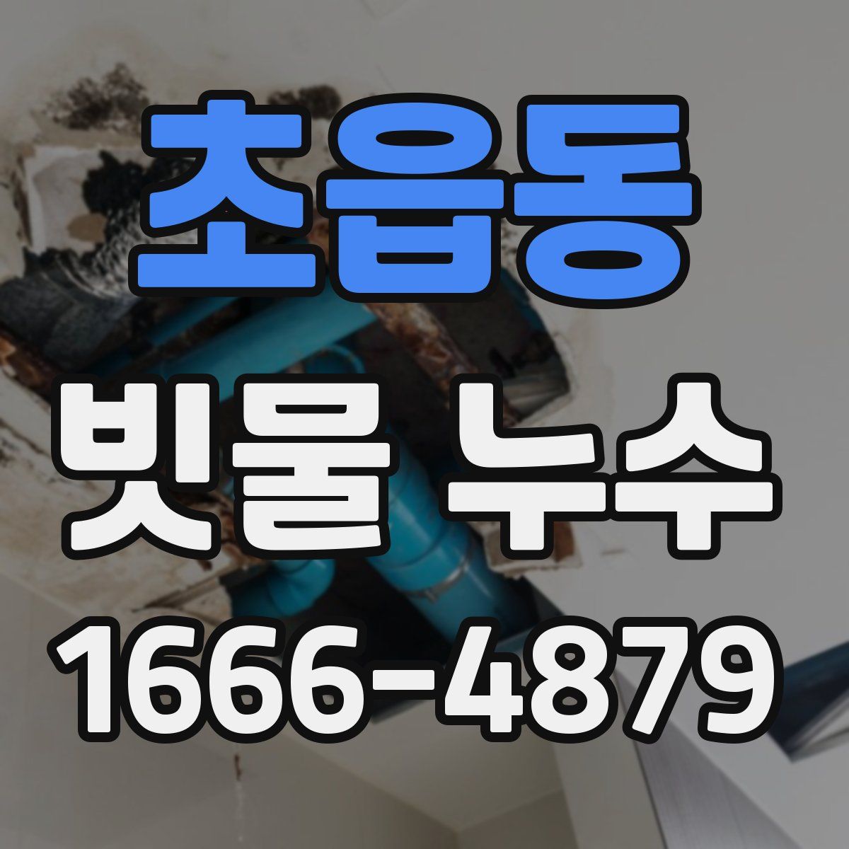 초읍동 빗물 누수