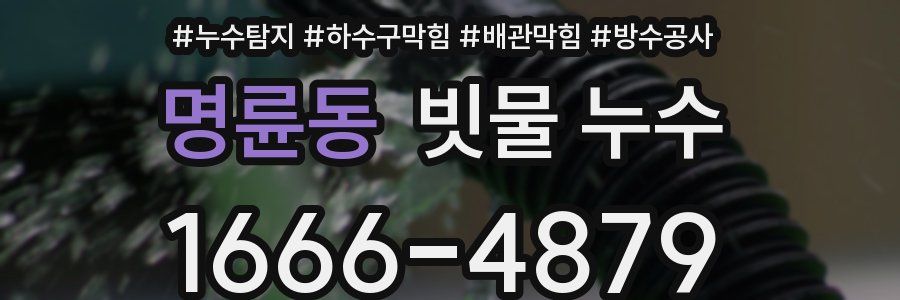 명륜동 빗물 누수