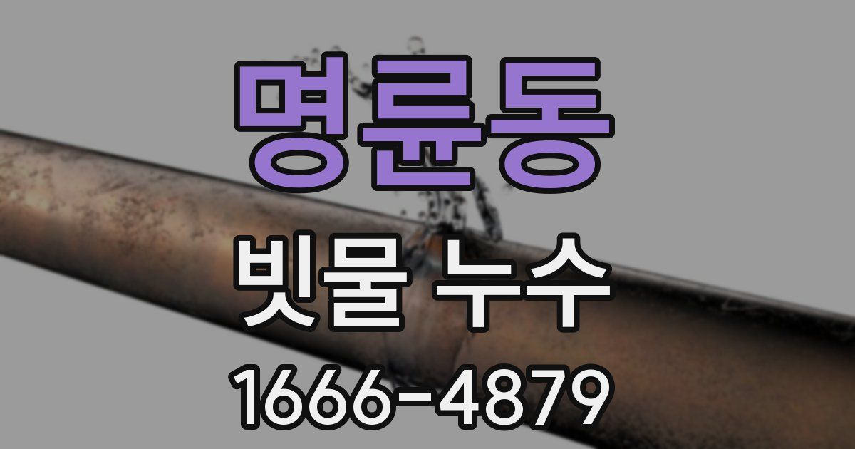 명륜동 빗물 누수