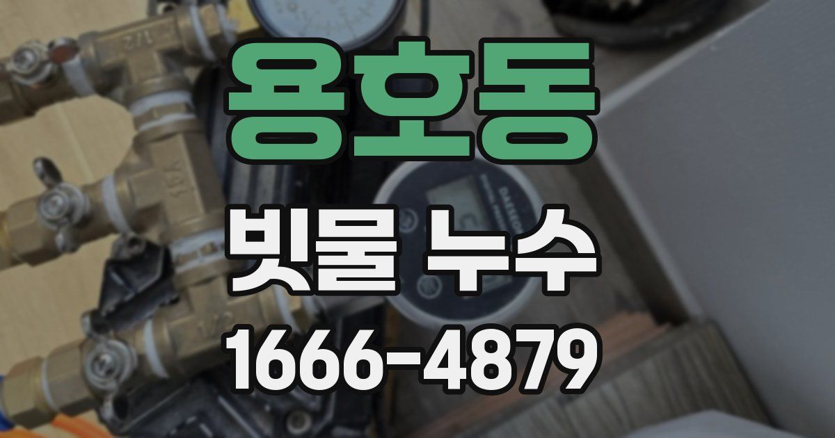 용호동 빗물 누수