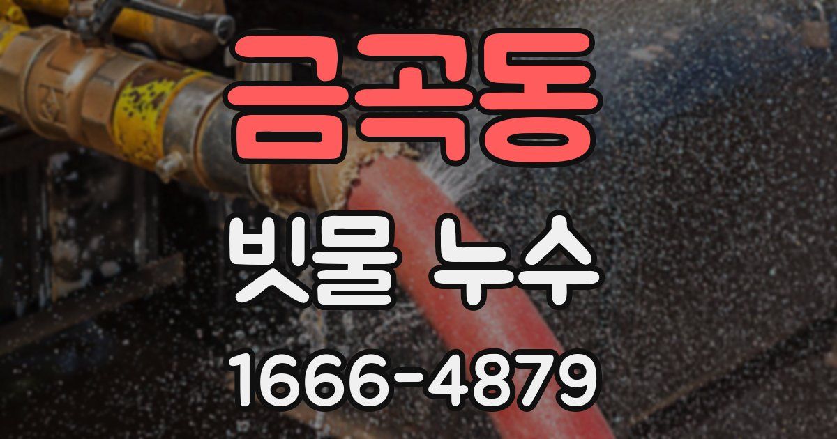 금곡동 빗물 누수
