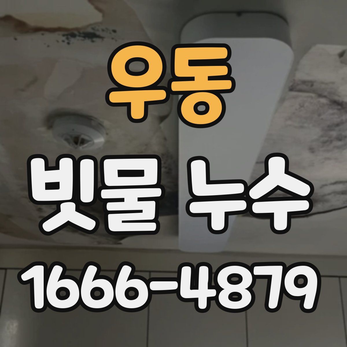 우동 빗물 누수
