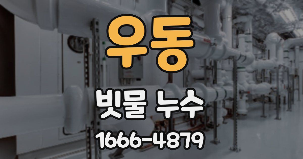 우동 빗물 누수